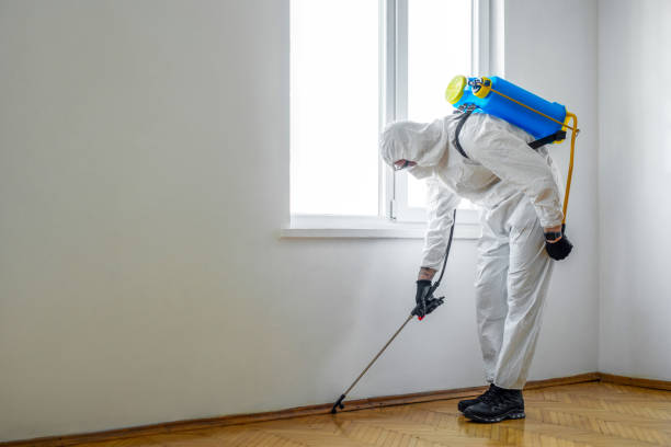 Best Flea Control Services  in Cimarron, KS