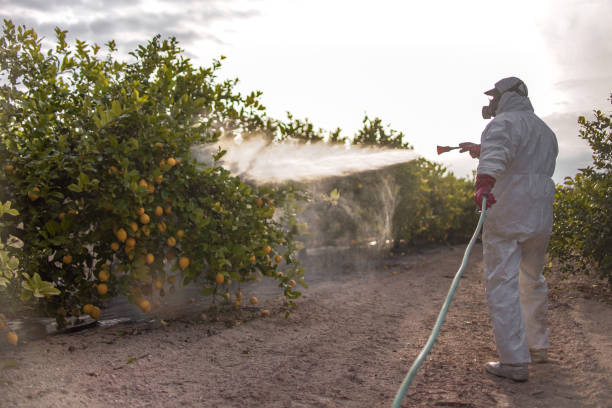 Reliable Cimarron, KS Pest Control Solutions