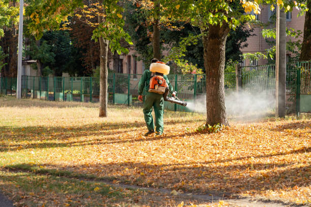 Best Pest Control Near Me in Cimarron, KS