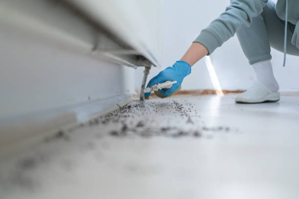 Best Pest Control Near Me  in Cimarron, KS