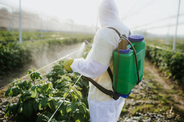 Best Pest Removal Services  in Cimarron, KS